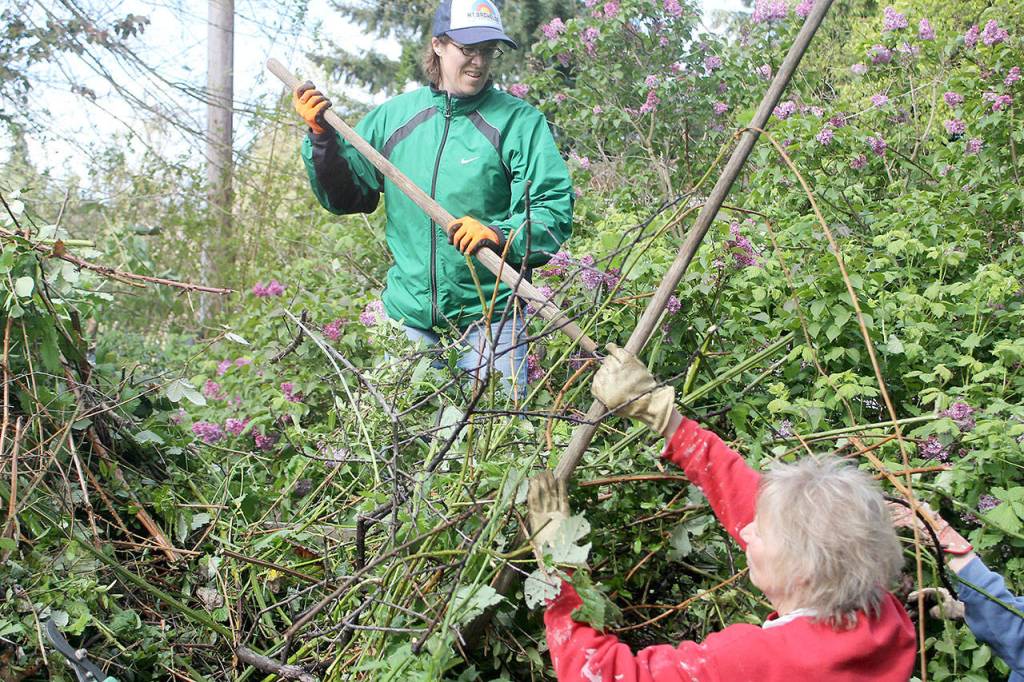 Annual workday draws over 300 volunteers to fix 36 homes