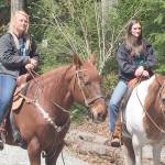 Trillium trailhead, parking lot opens to public