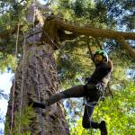 &ldquo;Who doesn&rsquo;t want to climb trees for a living?&rdquo; asks instructor Shaun Mellor, after guiding a couple to the top of a 200-foot Douglas fir in Deception Pass State Park. Two towering trees, estimated between 200 to 500 years old, are outfitted with ropes for the harness and pulley system used in canopy climbing. AdventureTerra charges $149 per person for the experience that lasts about four hours. Minimum age is 7 years old. Photo by Patricia Guthrie/Whidbey News-Times