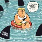 Today’s cartoons for Friday, May 19, 2017