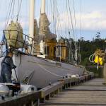 Ron Newberry / Whidbey News Group &mdash; The 1925 schooner Suva moored at the Coupeville Wharf under gentler conditions Wednesday, May 24, 2017. A night earlier, the Suva broke free from her mooring during a nasty wind storm and ended up approaching the rocks across Penn Cove near Bowers Bluff. Mark Saia, the Suva&rsquo;s captain, got in an inflatable tender at the wharf and raced across the cove despite heavy gusts, high waves and increasing darkness to rescue the boat from the rocks.