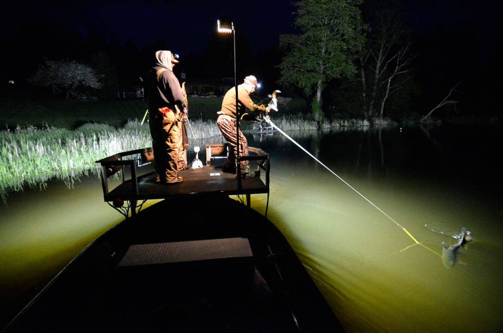 Bow fishermen return to Lone Lake for carp