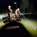 Bow fishermen return to Lone Lake for carp