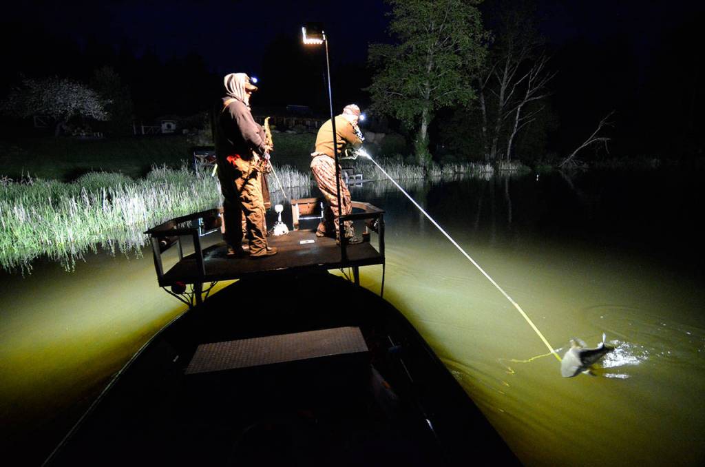 Bow fishermen return to Lone Lake for carp