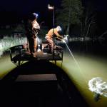 Bow fishermen return to Lone Lake for carp