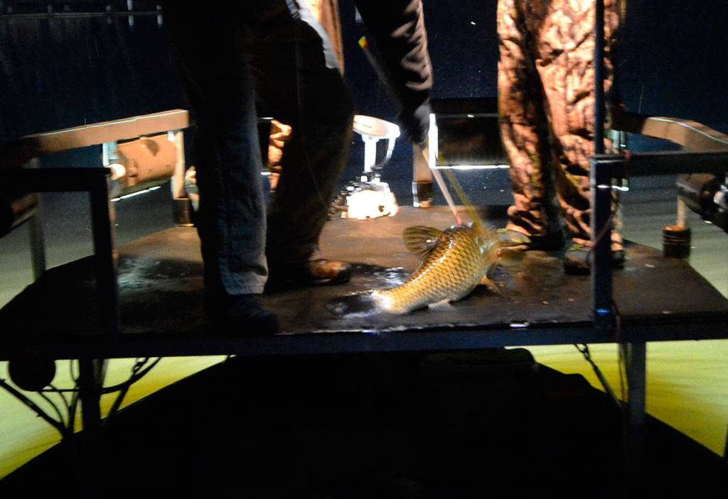 Bow fishermen return to Lone Lake for carp
