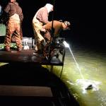 Bow fishermen return to Lone Lake for carp