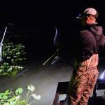 Bow fishermen return to Lone Lake for carp