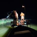 Bow fishermen return to Lone Lake for carp