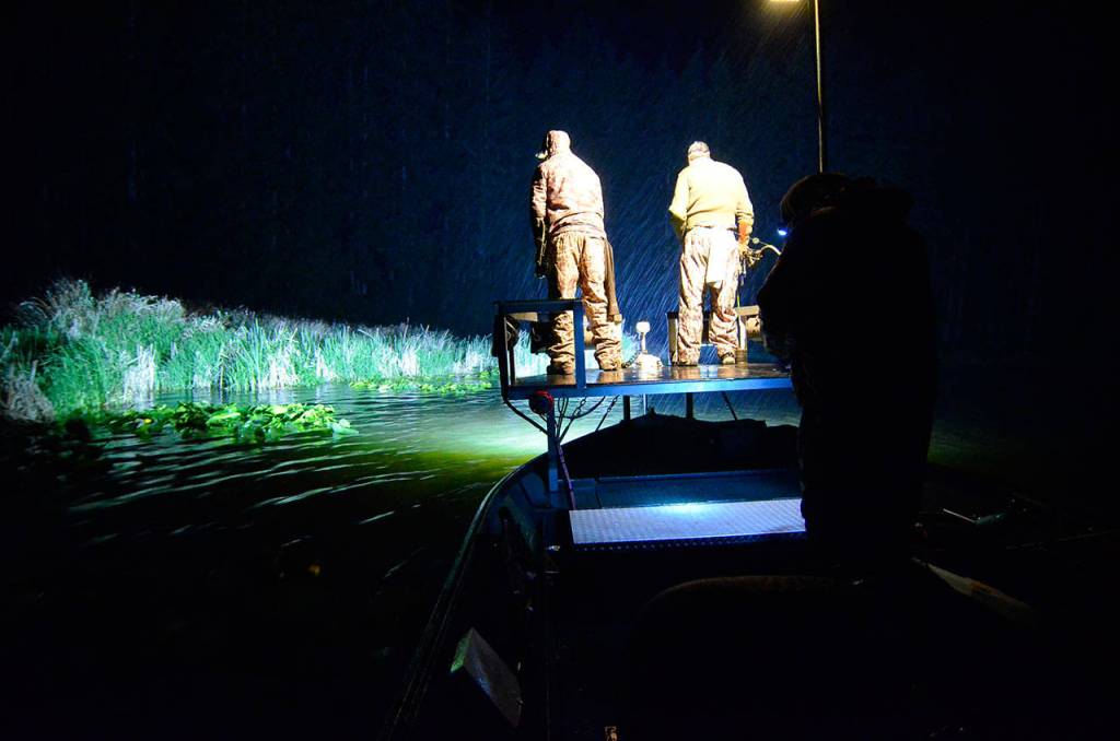 Bow fishermen return to Lone Lake for carp