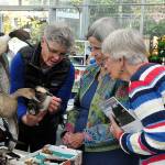 Whidbey Audubon Society: reaching for conservation after 35 years