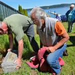 Justin Burnett/The Record &mdash; Honeymoon Lake Community Club board members Stanley Schriger and Will Collins move the headstone of Minnie Spencer-Plumb into position at the clubhouse off Honeymoon Bay Road. The headstone was relocated from its old home on Cameron Road in Freeland, and before that its original home in Langley. Spencer-Plumb honeymooned on Honeymoon Bay in 1909, and the body of water and road has been named after that ever since.