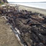 Driftwood blaze the result of unattended beach fire, official says
