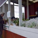 Kyle Jensen / The Record &mdash; Clinton resident Anza Muenchow sifts through the community produce booth at South Whidbey Tilth Farmers Market.