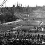 Historical image &mdash; Early Freeland viewed from the hill near Freeland Hall. The Lieseke family&rsquo;s homestead can be seen on the bottom right across from what is today Freeland Park.