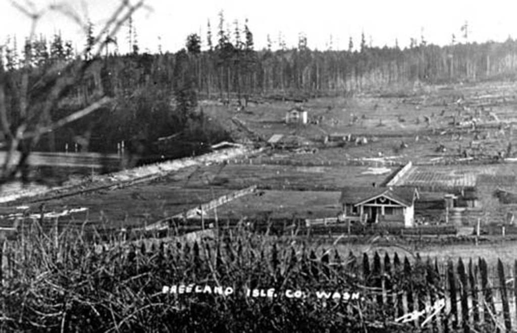 Historical image &mdash; Early Freeland viewed from the hill near Freeland Hall. The Lieseke family&rsquo;s homestead can be seen on the bottom right across from what is today Freeland Park.