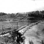 The old Lieseke family homestead (upper left) and what is today Freeland Park around 1910.