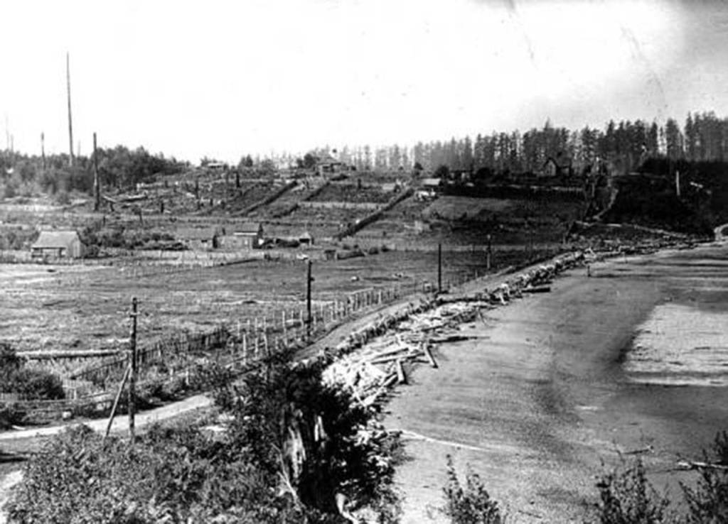 The old Lieseke family homestead (upper left) and what is today Freeland Park around 1910.