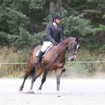 Oak Harbor&rsquo;s John Filer and Glitteratti compete in the dressage Saturday. They finished second in the Preliminary Young Rider division. (Photo by John Fisken)