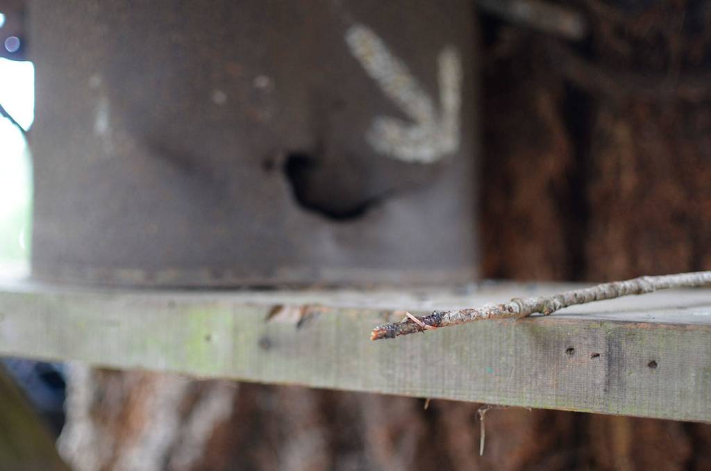 Justin Burnett/The Record &mdash; Some of the burglars have used a stick dipped in tree sap to reach into and retrieve cash.