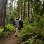 Kyle Jensen / The Record &mdash; About five to 15 people typically join Meet Feet hikes. If the numbers are high, smaller groups will form.