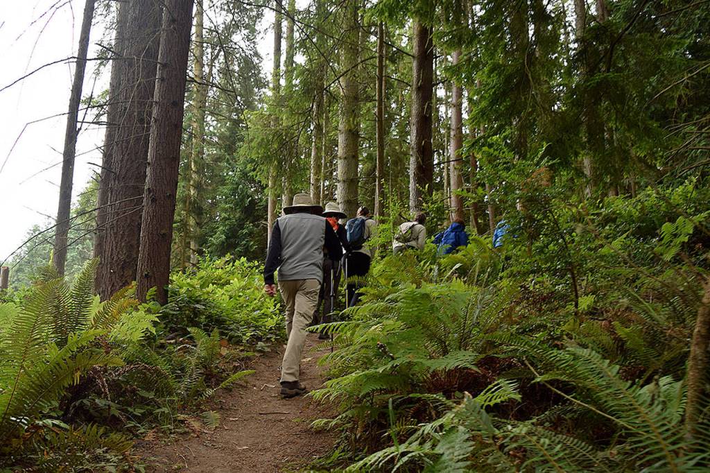 Kyle Jensen / The Record &mdash; About five to 15 people typically join Meet Feet hikes. If the numbers are high, smaller groups will form.