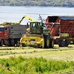Conservation Futures Funds finalize the 129-acres purchase for a bluff/tideland Barnum Point County Park on Camano Island. Photo by Benjamin Drummond Tractors working out on the 129-acres Penn Cove Farms that raises 1,600 dairy calves for western Washington dairy farms. Photo provided by Whidbey Camano Land Trust