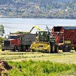 Conservation Future Funds will help Penn Cove Farms, that raises dairy calves for western Washington daires and grows feed, obtain easements to ensure its 129 acres remains agricultural. It is among three projects receiving $1.1 million of the taxpayer-funded program. Photo provided by Whidbey Camano Land Trust                                Whidbey Camano Land Trust photo &mdash; Conservation Futures Funds finalize the 129-acres purchase for a bluff/tideland Barnum Point County Park on Camano Island. Photo by Benjamin Drummond Tractors working out on the 129-acres Penn Cove Farms that raises 1,600 dairy calves for western Washington dairy farms.