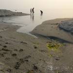 As Freeland sewers drown in financial infeasibility, two new proposals rise to surface