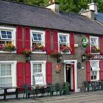 Kristi O&rsquo;Donnell photo &mdash; Bridge Bar in Ramelton, Ireland hosts performers and jam sessions during Django Sur Lennon.