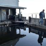 Kyle Jensen / The Record &mdash; Cooper walks along a pool that carries herring, the live bait his business sells.