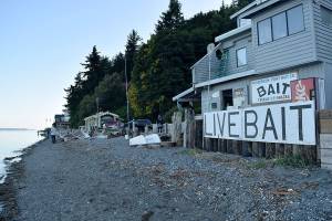 Clinton bait biz is here to stay, owner says