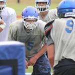 Independent schedule could boost program viability