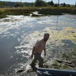 Joint effort ponders Greenbank tide gate headache