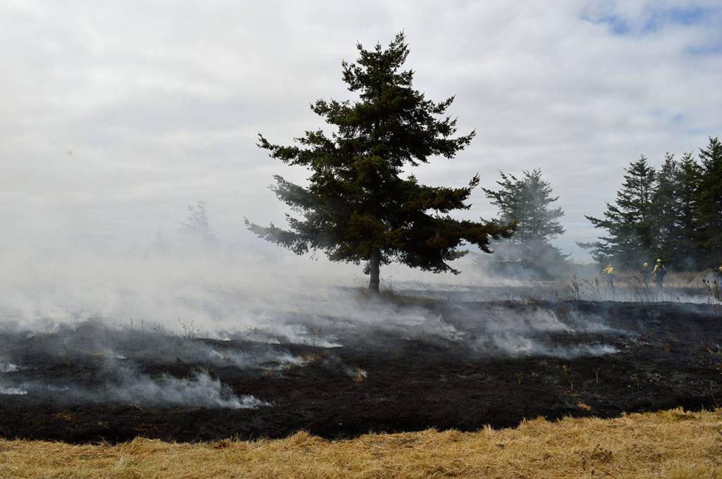 Laura Guido/Whidbey News Group                                Smoke rises at controlled burn at the Admiralty Inlet Natural Area Preserve.