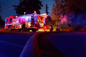 Two boys suspected in Freeland house fire