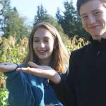 South Whidbey High School garden grows in popularity with students
