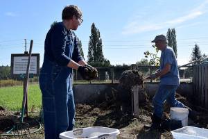 Hot composting gathers steam on South Whidbey