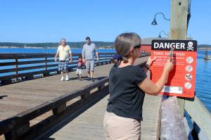 Maribeth Crandell with Island County Public Health hangs a warning sign on Coupeville Wharf about potentially fatal toxins found in local shellfish. The state health department closed Penn Cove to all shellfish harvesting Wednesday. Photo by Patricia Guthrie/Whidbey News-Times
