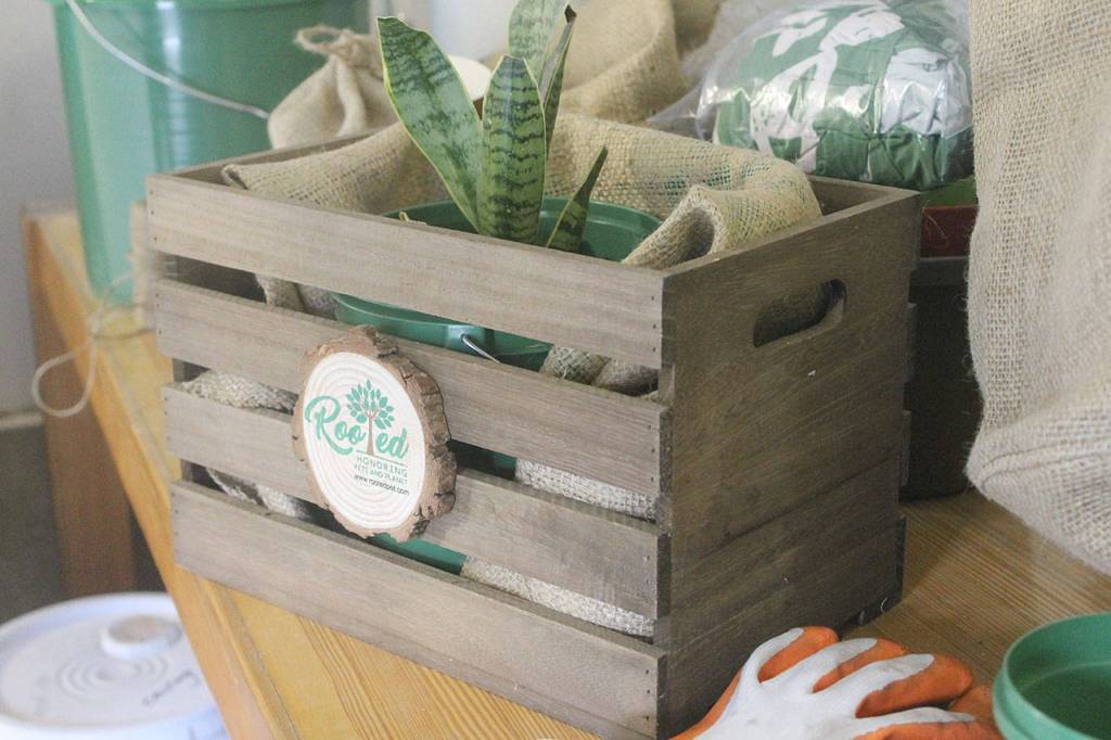 Evan Thompson / The Record &mdash; Keepsake plant pots are offered by Rooted Pet, which gives clients the opportunity to use the soil from the deceased pets and turn it into plants.