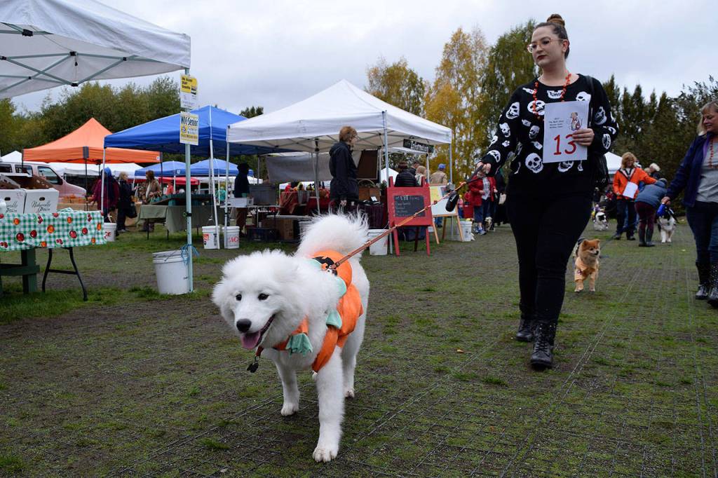 Kyle Jensen / The Record