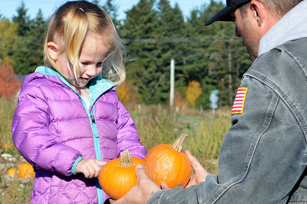 Spooky, fun Halloween happenings across Whidbey