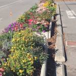 Freeland residents, merchants team up to improve sheriff’s office