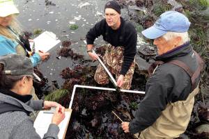 Monitoring the Smith and Minor Islands Aquatic Reserve