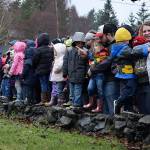 Kyle Jensen / The Record  Kids eagerly wait for the start of the kids scramble at Langley Park.