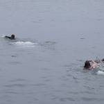 Kyle Jensen / The Record  Two teenagers braved chilly waters in an attempt to fetch a glass orb in the water.