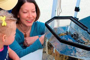 Sound Water Stewards seek more volunteers