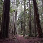 Property owners give trail-saving effort a timeline