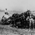 Contributed photo  Arthur Gabelein farms on South Whidbey in the 1920s. He came to Whidbey Island with his family in 1908. The South Whidbey Historical Society is hosting a presentation about the familys past and present at 7 p.m. on Wednesday Feb. 21 at the Langley United Methodist Church Fellowship Hall.