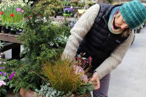 Gardening workshop in full bloom